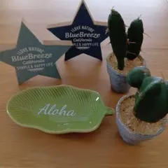 星型カリフォルニアオブジェ、Aloha リーフ型 小皿、造花サボテンセットのサムネイル