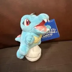 新発売ポケパーク限定 PokePark ワニノコ ぬいぐるみ マスコット