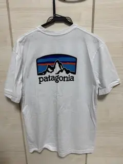patagonia Tシャツ Sサイズ パタゴニア