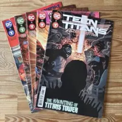 Teen Titans Academy Lot