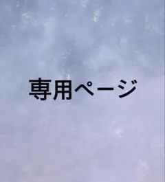 専用ページ