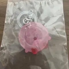 星のカービィ　めじるしアクセサリー3 わっかほおばり