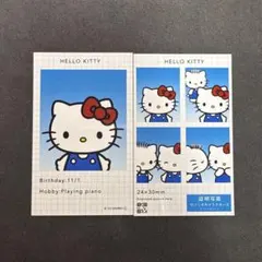HELLO KITTY キティ 証明写真風スマロイド 2枚セット