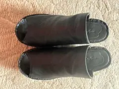 Item thumbnail for item 95779f21-1693-4d36-b3b1-8ecd4e1f2931