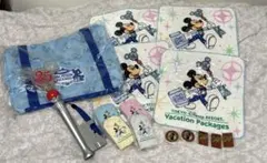 【激レア】ディズニー 25周年 バケーションパッケージ 限定グッズ セット