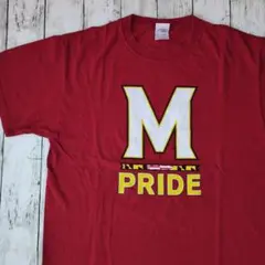 アメリカ古着フルーツオブザルームTシャツカレッジメリーランド大学フェードアメカジ