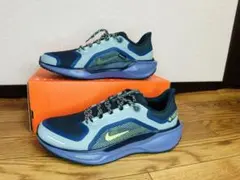 ナイキ AIR ZOOMペガサス41GTX 26cm 防水 GORE-TEX新品 - メルカリ