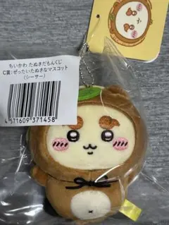 ちいかわ たぬきだもんくじ ぜったいたぬきなマスコット(シーサー)