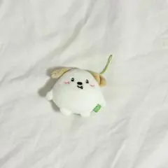 RIIZE アントン ぬいぐるみ モンリョン - メルカリ