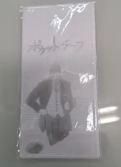 Item thumbnail for item 50baa1e0-2862-42f7-bfde-e0a2867a531f