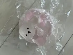 スクイーズ