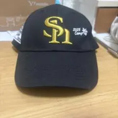 Item thumbnail for item 81bc7daa-1616-4976-a0fd-292e29c20033