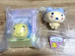 まるっち　やんぐまめっち　まとめ売り