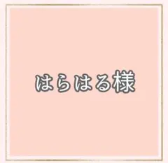 Lサイズ1個