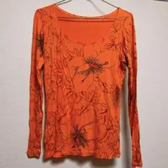 Item thumbnail for item 3f23d2e4-40cc-4429-8a53-ccee1fa82e4d