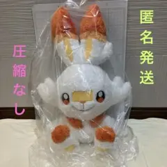 ポケットモンスター めちゃもふぐっとほっこりいやされぬいぐるみ〈ヒバニー〉