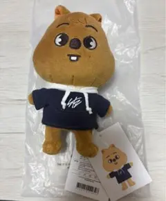 2025年最新】stray kids ハン ぬいぐるみの人気アイテム - メルカリ