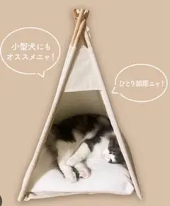 Item thumbnail for item 715cc226-4d4e-4020-9677-7589e8b5ab05