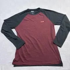 Item thumbnail for item 1a0c5adb-04c4-43dc-9c05-3cbc2cc94646