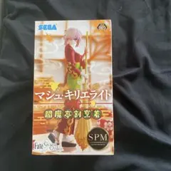 Fate/Grand Order マシュ・キリエライト SPM