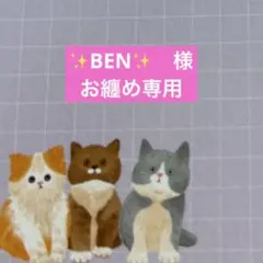 ✨BEN✨　様　ご専用