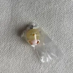 mikko characters めじるしアクセサリー2 puff