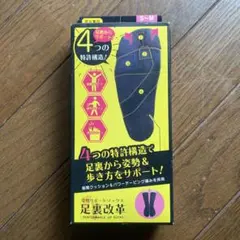 未使用新品　姿勢サポートソックス　足裏改革　ハヤシ・ニット
