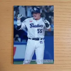 2023 カルビープロ野球チップスカード 東京ヤクルトスワローズ 村上宗隆