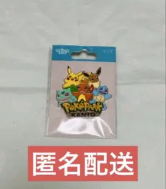 PokePark KANTO ピンズ ピカチュウ フシギダネ ヒトカゲ ゼニガメ