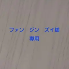 ファン　ジン　ズイ　様専用ページ