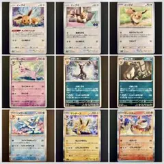 イーブイ(Pokémon GO),ブラッキーなど ブイズ9種まとめ売り