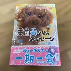 Item thumbnail for item c1fef276-3ff3-4b97-a43c-0d44340a53b6