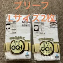 グンゼ　GQ-1 ブリーフ　二枚　Lサイズ　前あき