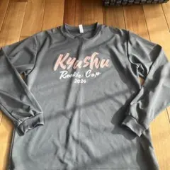 Item thumbnail for item 77a87924-cf99-4e6b-b9e2-3ea546f17ec7