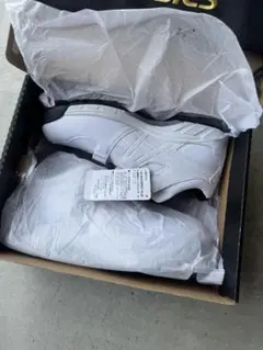 asics アシックス ゴールドステージ トレーニングシューズ トレシュ