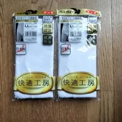 グンゼ　快適工房　天引きブリーフ　LL　２枚組