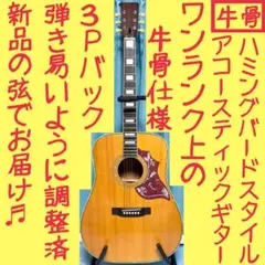 牛骨】MORRIS☆モーリス！少し小ぶり！F-35【弾き易く調整☆新品の弦