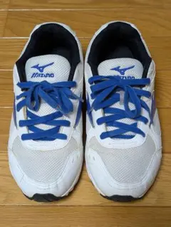 Item thumbnail for item 81143d51-2cca-4eb7-9e51-6892c8e7f196