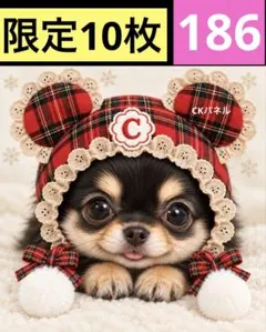 限定10枚！　レアパネル生地　無くなり次第終了です　6犬種パネル