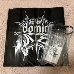 【新品】Stray Kids dominATE エコパ アプグレ グッズ