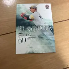 Item thumbnail for item d01eba95-a7c2-4183-852c-c2083c1ba376