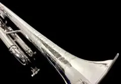 2026年最新】BACH トランペット アルティザンの人気アイテム - メルカリ