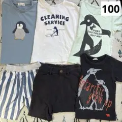 しまむらブリーズペンギン Tシャツ パンツ まとめ売り 100cm 男の子半袖
