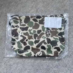 Item thumbnail for item 6683c064-28f9-4487-99a2-258e28a5929e