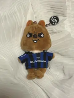 ハンジソン アイドル