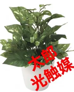 光触媒　人工観葉植物　ウォールグリーン　フェイクグリーン　ポトス2825のサムネイル