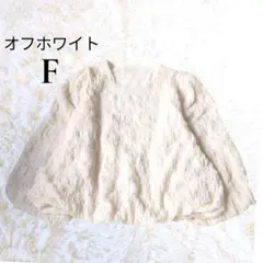 レディース ブラウス 長袖 オフホワイト 表面感 F