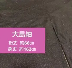 Item thumbnail for item 9a41c483-0518-4a99-8f76-aa334150c867