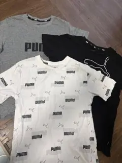 PUMA Tシャツ 3枚セット