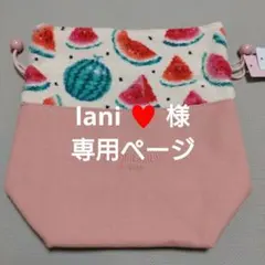 ☆専用ページ☆ フェイラー 巾着ポーチ スイカドット